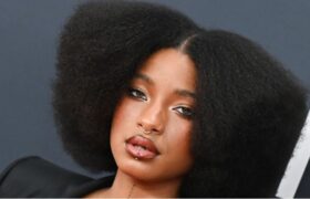 Willow Smith wearing a stacked braided updo and frosty baby-blue eyeshadow at Dior Paris Fashion Week
