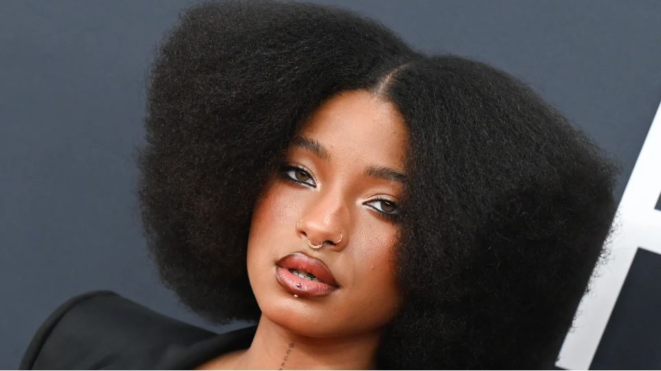 Willow Smith wearing a stacked braided updo and frosty baby-blue eyeshadow at Dior Paris Fashion Week